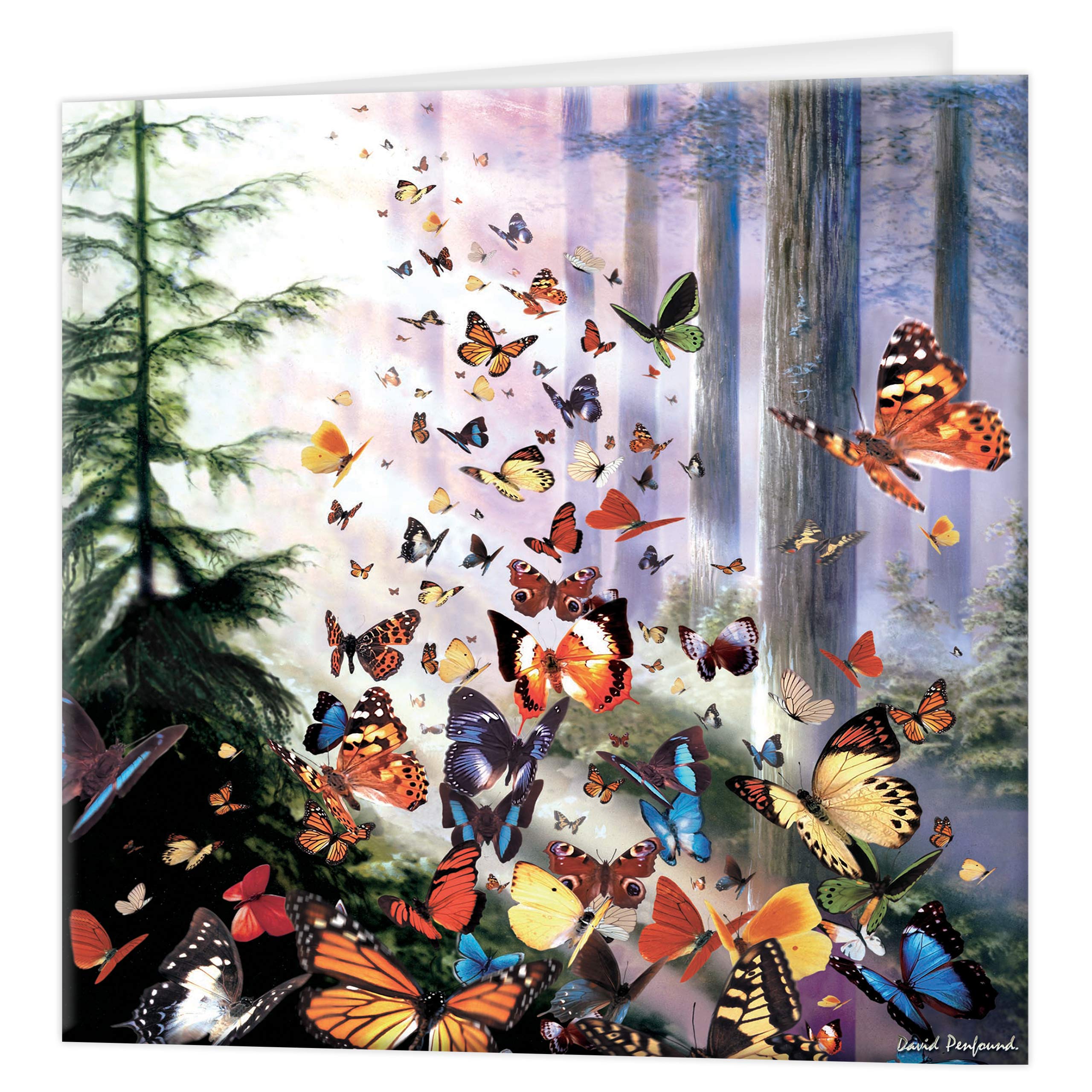 3D LiveLife Greeting Card - Butterfly Woods from Deluxebase. Blank Card with Lenticular 3D Image and Envelope. Unique Notecard for All Occasions and Premium Stationery Sets. — image 1