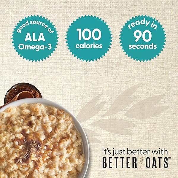 BETTER OATS FIT INSTANT, APPLE CINNAMON, 9.8 OUNCE