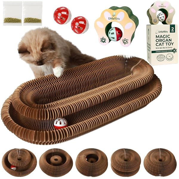 2-PACK ACCORDION CAT TOY SCRATCHER – CAT TOYS FOR INDOOR CATS – EXPANDABLE CAT CARDBOARD SCRATCHER, MAGNETIC REVERSIBLE INTERACTIVE CAT TOY | LITTLEMITTS