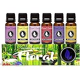 Eternal Essence Oils Floral Set of 6 Premium Fragrance Oils - Lavender, Lilac Lillies, Jasmine, Plumeria, Rose Garden, Magnolia Scented Oil - for Diffusers, Candle & Soap Making, & Aromatherapy
