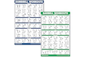 QUICKFIT Dumbbell Workouts and Barbell Exercise Poster Set - Laminated 2 Chart Set - Dumbbell Exercise Routine & Barbell Work