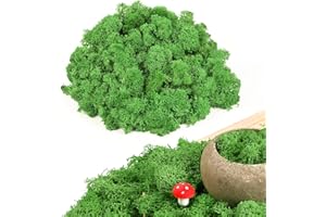 Yastouay 3.5 OZ Preserved Moss for Potted Plants, Fake Moss Decor for Crafts, Artificial Reindeer Crafts Moss for Flowerbeds, DIY Crafts, Wedding Christmas Party, Forest Moss for Hamsters