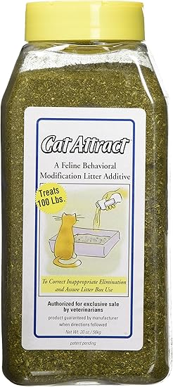 merle pug puppies for sale