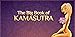 Big Book of Kamasutra Pro