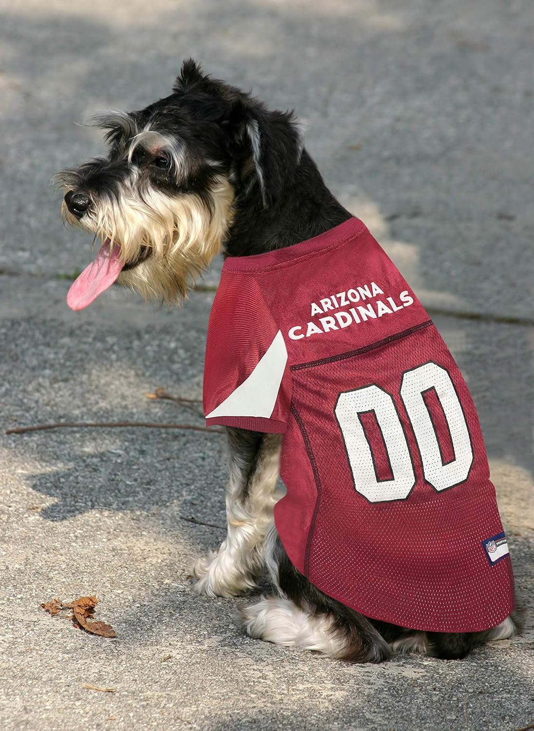 arizona cardinals dog jersey