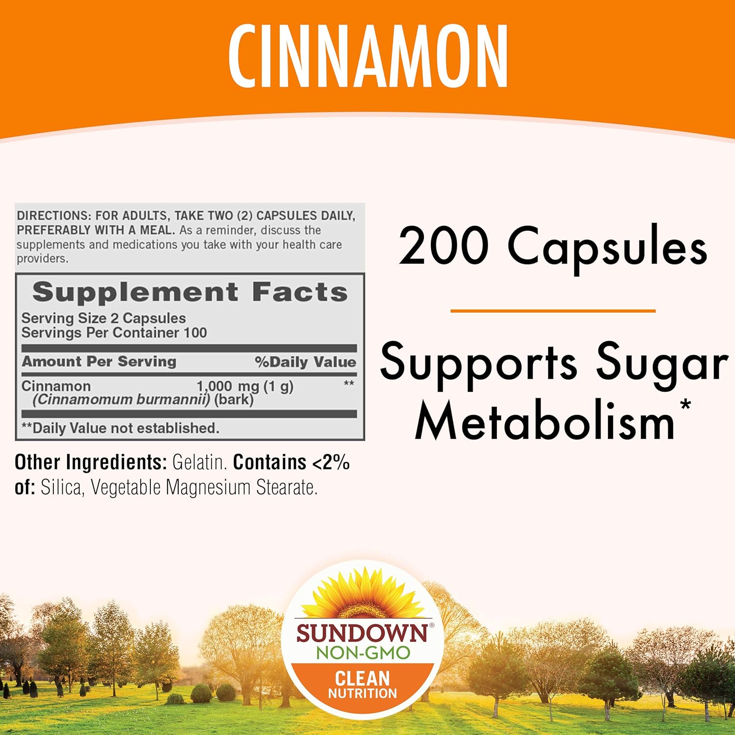 Cinnamon Capsules by Sundown, Support Sugar Metabolism, Non-GMOˆ, Free of Gluten, Dairy, Artificial Flavors, 1000 mg, 200 Capsules: Health & Personal Care
