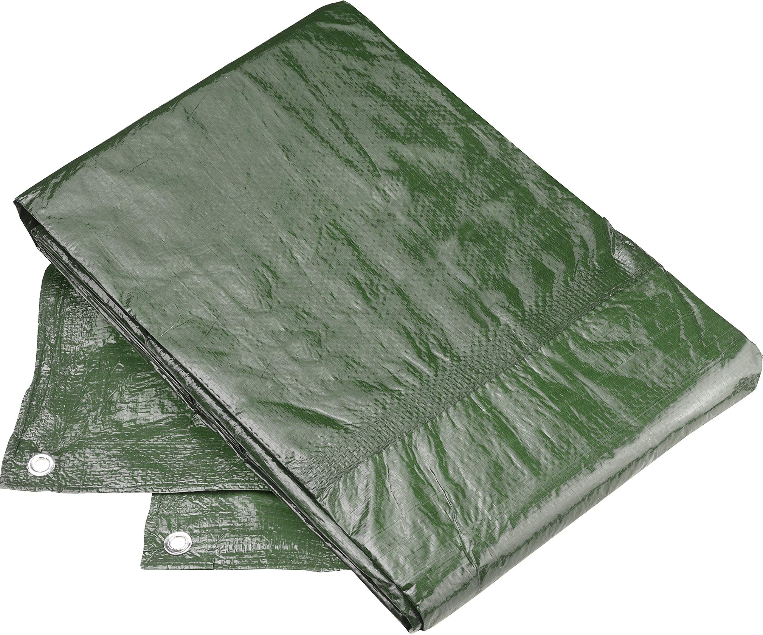 Connex FLOR80445 3 x 4 m 80 g Tarpaulin - Multi-Colour