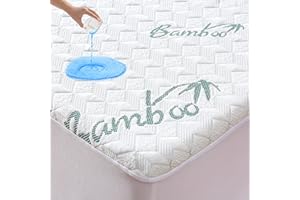 GOONIK Queen Mattress Protector, Cooling Waterproof Viscose Made From Bamboo Pad Cover, 3D Air Soft Size for 6-18 Inches Mattress