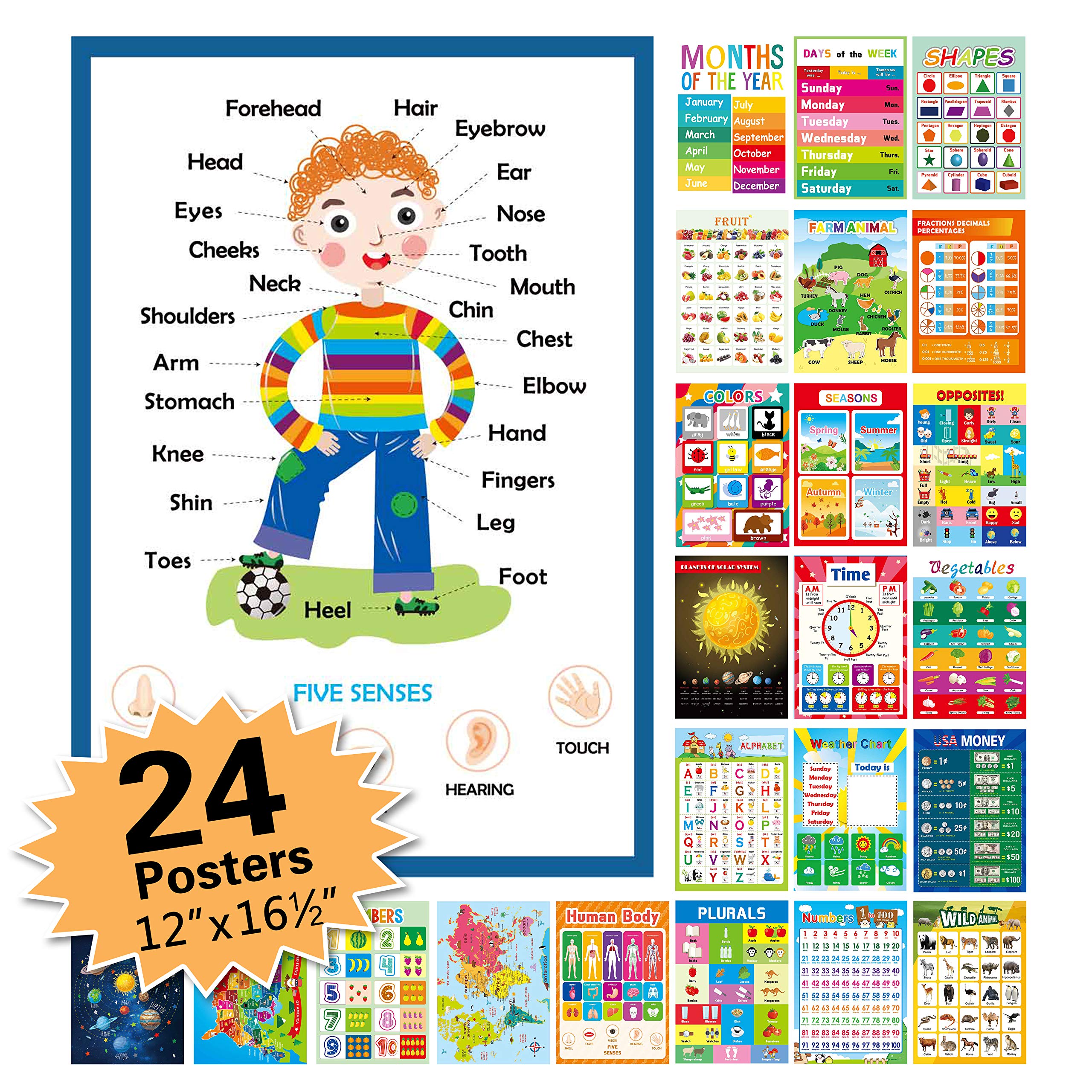 Buy 24 Pack Educational Posters for Preschool,16.5" x 12" Classroom
