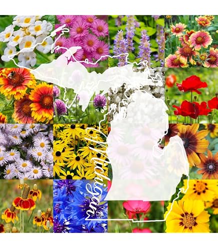 Amazon.com : Created By Nature Michigan Wildflower Seed Mix, 16 Flower  Varieties, 40,000 Seeds : Patio, Lawn & Garden