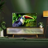 LG 55UR78006LK 55-Inch 4K Ultra HD Smart TV α5 AI Processor Gen6 Freeview Play view 7