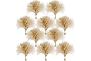 CKBT 450 PCS Exquisite Natural Pampas Grass Decor - Versatile Reed Grasses for Home & Event Decoration, Pompous Fluffy Tall Dried Reed Grass - Perfect for Vases, Wreaths & Table Centerpieces