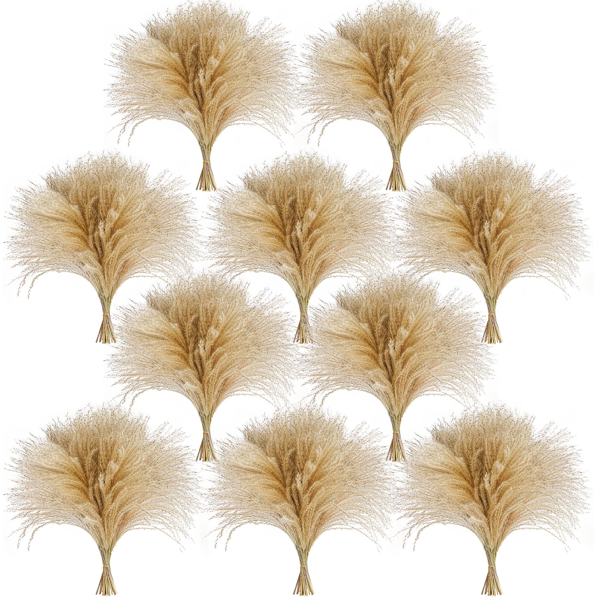 Photo 1 of CKBT 450 PCS Exquisite Natural Pampas Grass Decor - Versatile Reed Grasses for Home & Event Decoration, Pompous Fluffy Tall Dried Reed Grass - Perfect for Vases, Wreaths & Table Centerpieces