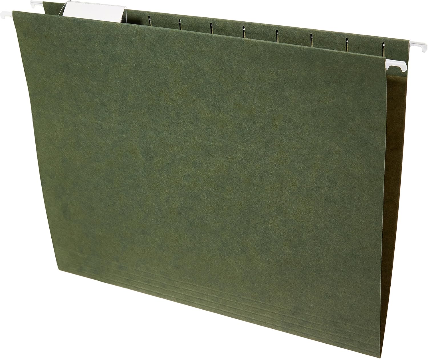 Basics Hanging Organizer File Folders - Letter Size, Green - Pack of 25 : Office Products