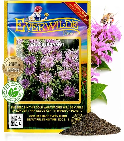 White English Daisy Seeds For Planting (Bellis perennis) Seed White English Daisy Seeds For Planting (Bellis perennis) Seed
