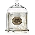 Zodax Mercury Glass Candle with Dome Glass Cover Medium Antique Silver French Red Currant