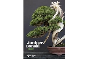 Juniper Bonsai Guide