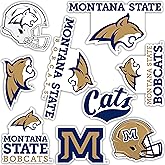 Desert Cactus Montana State University Bobcats MSU Sticker Vinyl Decals Laptop Water Bottle Car Scrapbook Sheet T2 (Type 2)