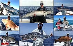 Capt Jay Fishing Assist Hooks Jigging Slow Fast