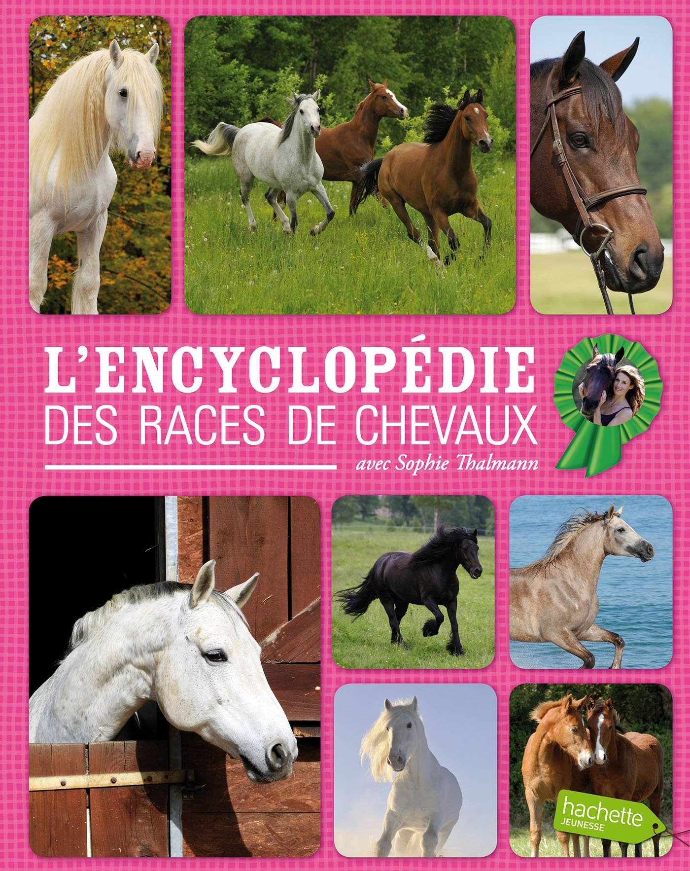 Sophie Thalmann Encyclopedie Des Races De Chevaux Clergeau Charlotte Marandet Laure Amazon Com Books