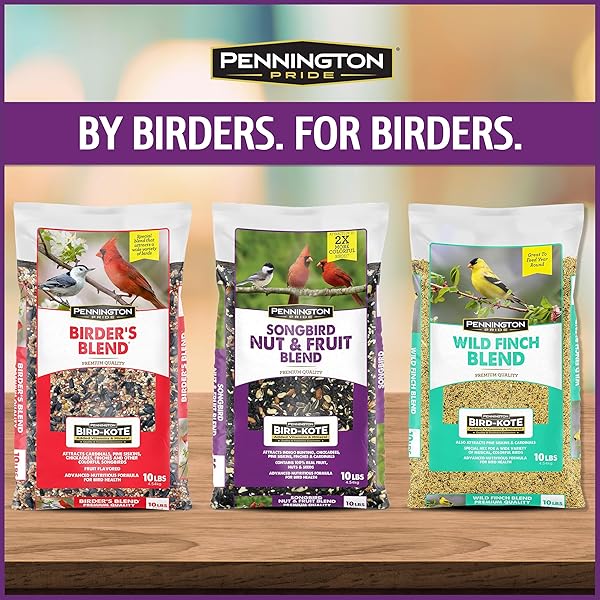 PENNINGTON PRIDE SONGBIRD NUT & FRUIT BLEND, WILD BIRD SEED FOR OUTSIDE FEEDERS, ADVANCED NUTRITION FORMULA FOR BIRD HEALTH, 10-LB. BAG