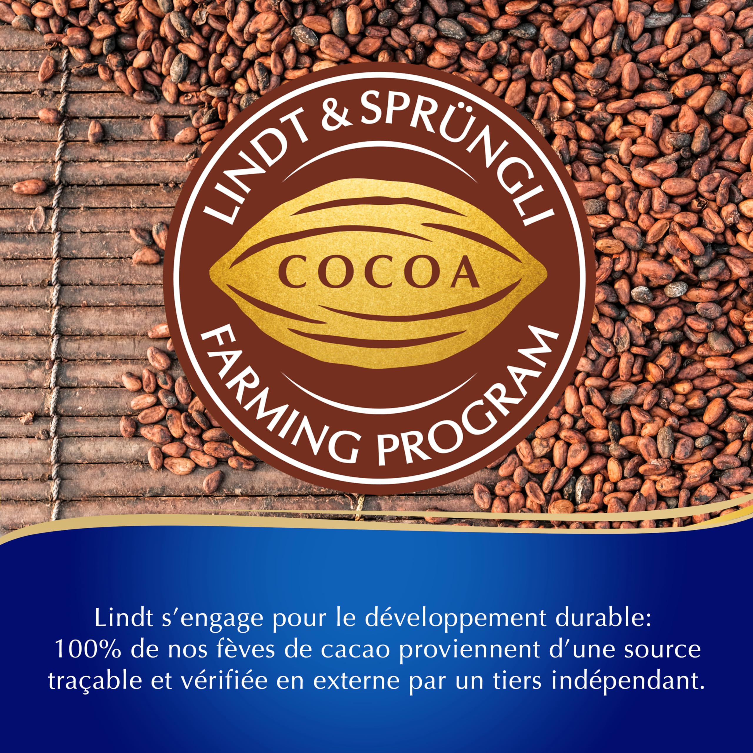 Lindt Schokolade | Napolitains Mini Schokoladentafeln Beutel | 1 kg | kleine zartschmelzende Schokoladen-Täfelchen in 6 Sorten | Schokoladen-Geschenk zum Teilen 4