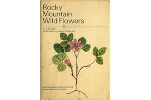 Rocky Mountain Wild Flowers