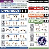 POCAZONE Dumbbell Workout Posters, Exercise Charts &amp; Video Guide | Laminated 11x17, Build a Clear Home Gym Routine, Weight Lifting with QR Code Video, Free Weight Body Building Guide