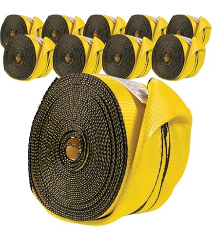 Amazon.com: Ancra Cargo 43795-10-60 Winch Strap with Flat Hook, 4