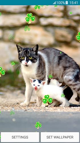 Fonds D Ecran En Direct Chatons Amazon Fr Appstore For Android