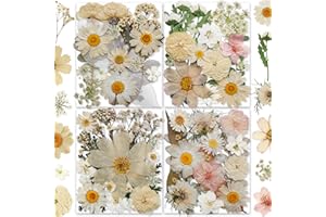 135PCS White Dried Pressed Flowers with Butterfly Stickers - YouthBro Real Nature Flowers Craft Set for Resin DIY Jewelry Candle Soap Vase Making Nail Card Scrapbook Art Floral Decors
