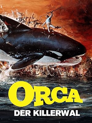 Orca Der Killerwal