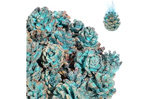 BIGGUN 80 Pcs Flame Color Changing Pine Cones - Burning Fireplace Pinecones with Magical Blue-Green Flames for Fireplace Holidays Fire Pit Wood Stove Campfire Color Changing