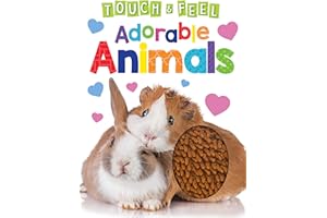 Adorable Animals - Touch and Feel Board Book - Sensory Board Book
