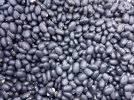 Amazon Com Organic Black Turtle Beans 25lbs Dry Bean Bulk 100 Organic Beans Usa Grown Grocery Gourmet Food