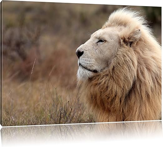 Lion Blanc Dans La Peinture Des Montagnes Sur La Toile D Immenses Photos Xxl Completement Vue