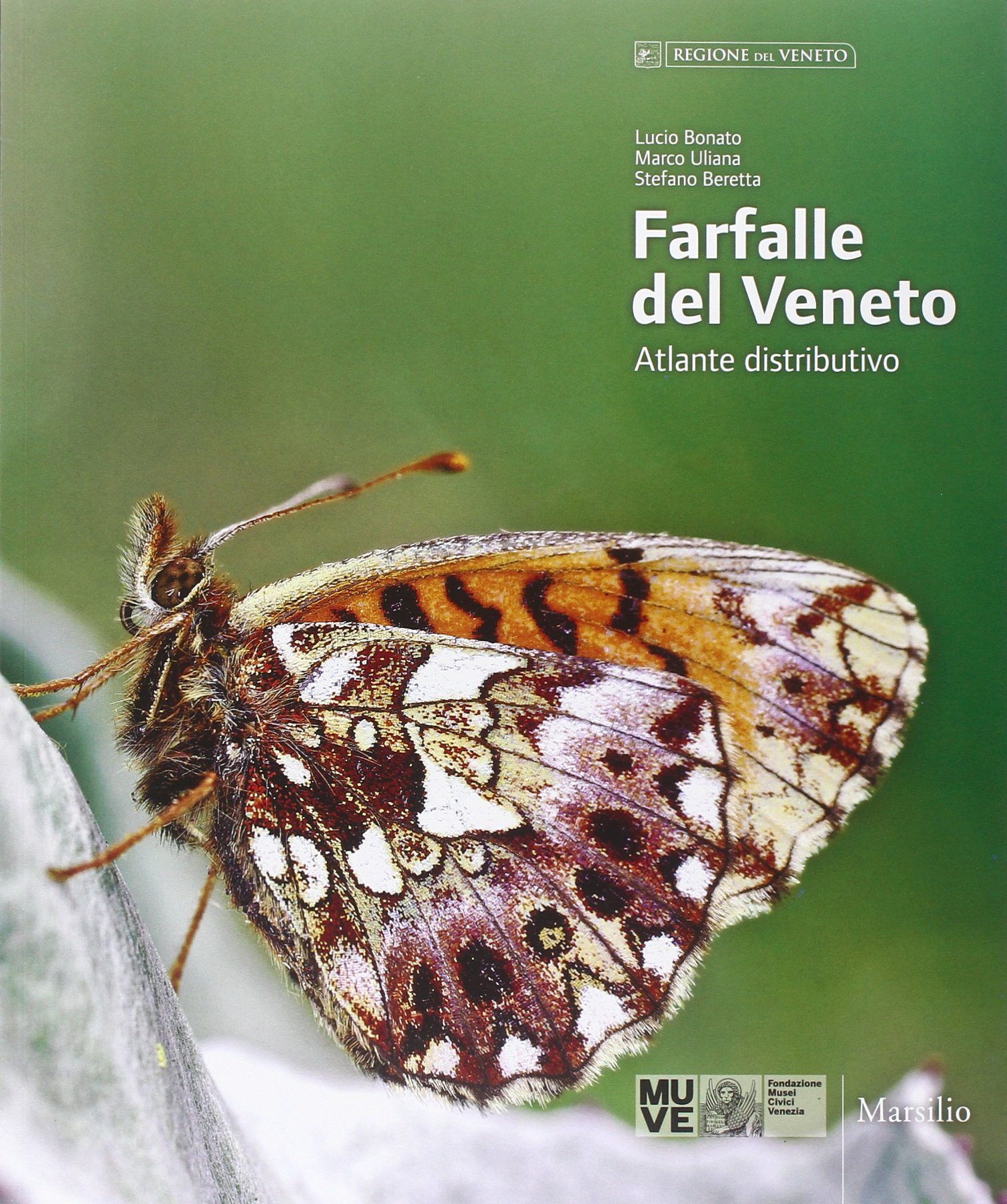 Farfalle Del Veneto Atlante Distributivo Ediz Italiana E Inglese Bonato Lucio Uliana Marco Amazon Com Books