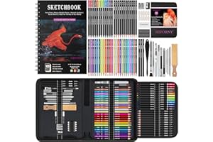 HIFORNY 176 PCS Art Supplies Drawing Set Sketching Kit with 100 Sheets 3-Color Sketchbook,Graphite Colored Charcoal Watercolor & Metallic Pencils,Blending Tools and More, for Beginner Artists