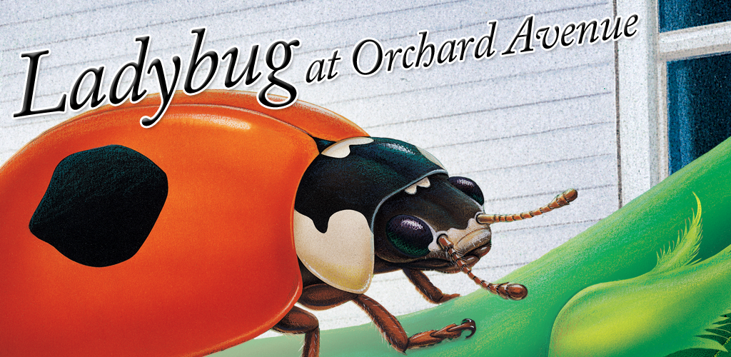 Ladybug at Orchard Avenue - Smithsonianâ€™s Backyard