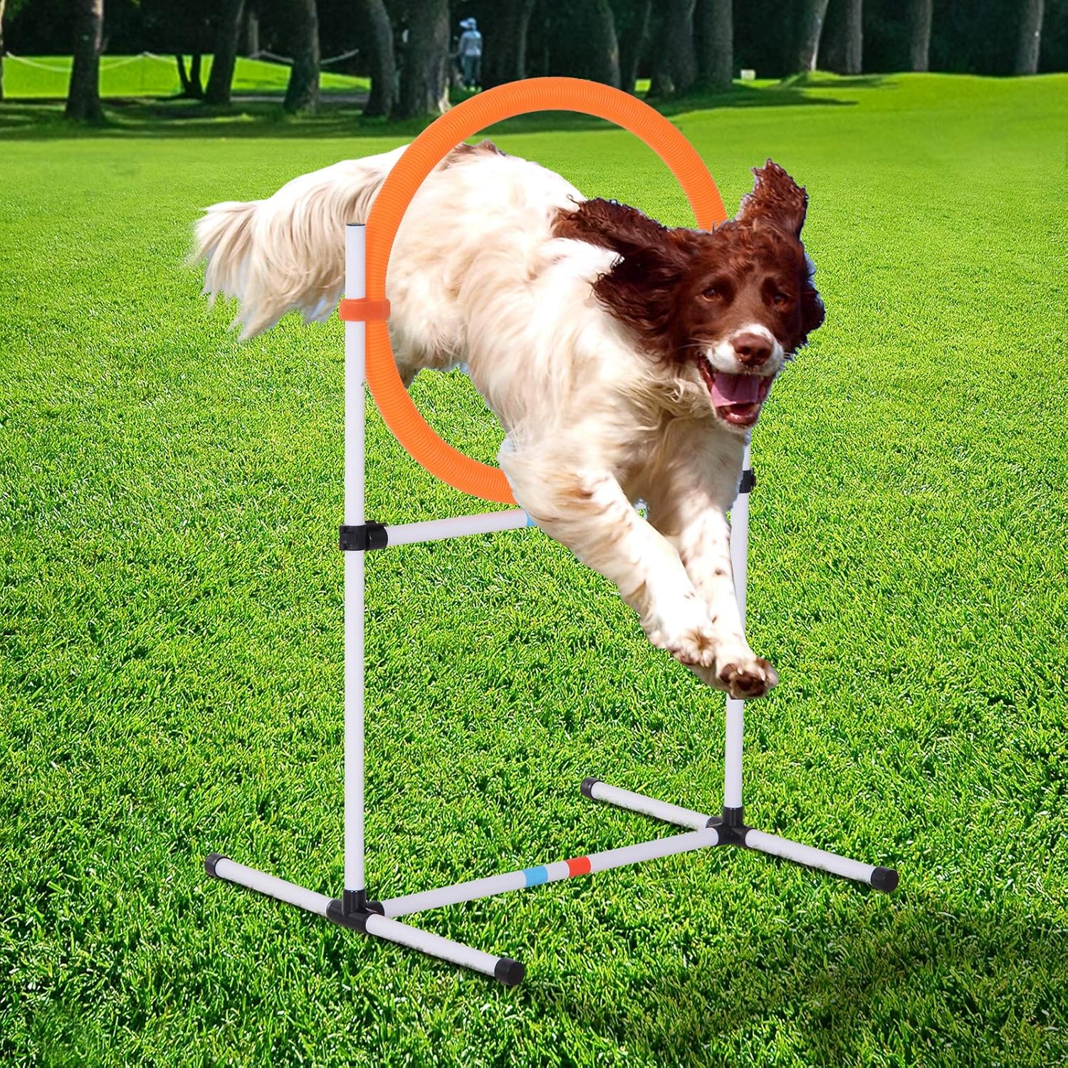 pawhut agility equipment