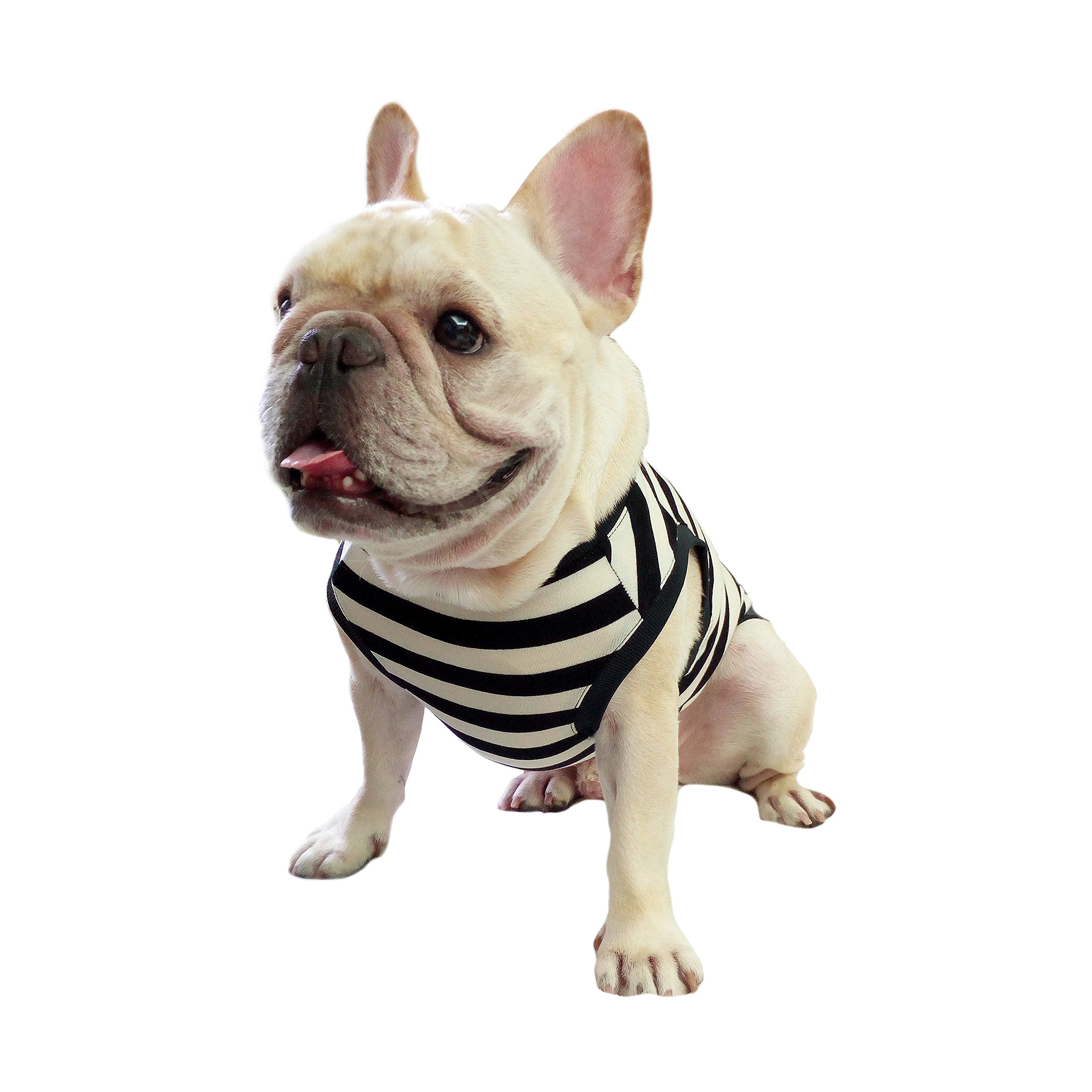 Frenchie Pet Clothing Classic Elegant Black White Stripe for French Bulldog or Pug Wear Use