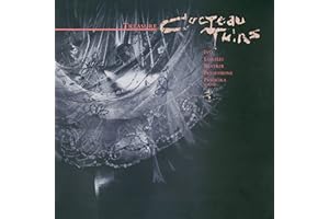 Treasure (Vinyl)