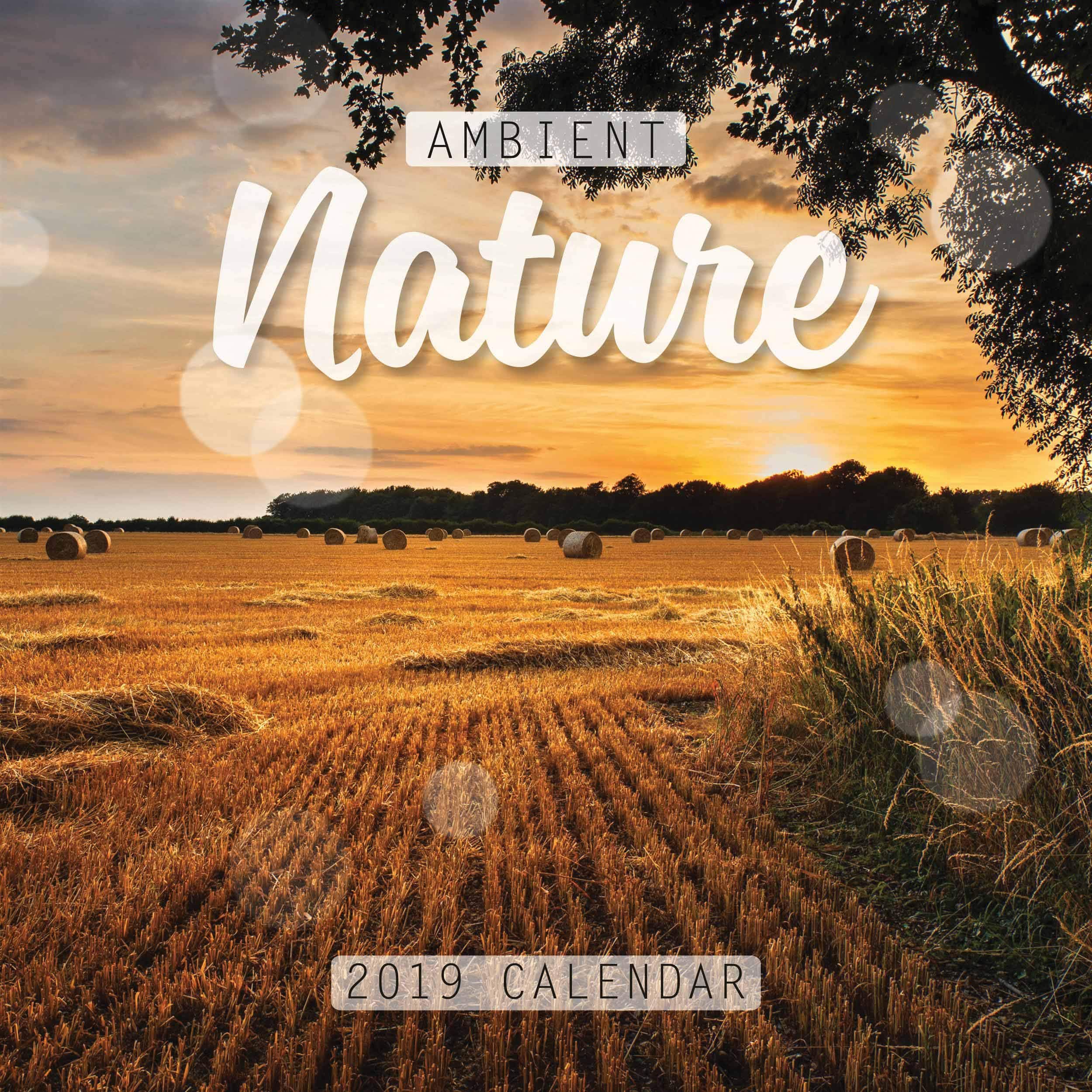 Ambient Nature Square Calendar 2019