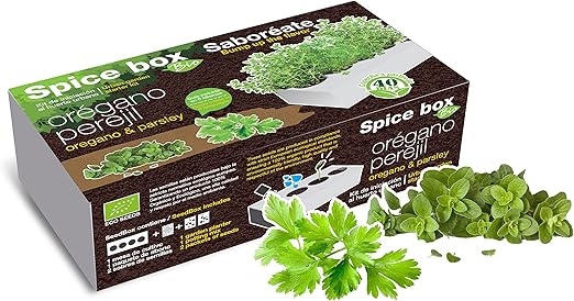 SeedBox PGBISA Kit huerto Urbano de perejil y albahaca ecológicas ...