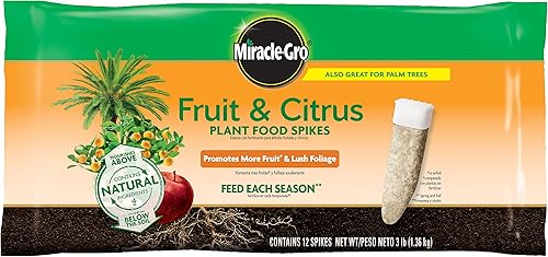 hstcstbl-table__image