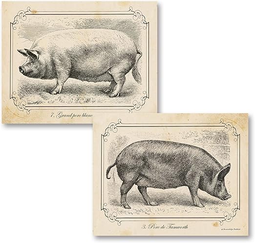 Amazon Com Wallsthatspeak 2 Black And White Pig Drawings