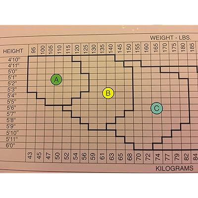 spanx hosiery size chart
