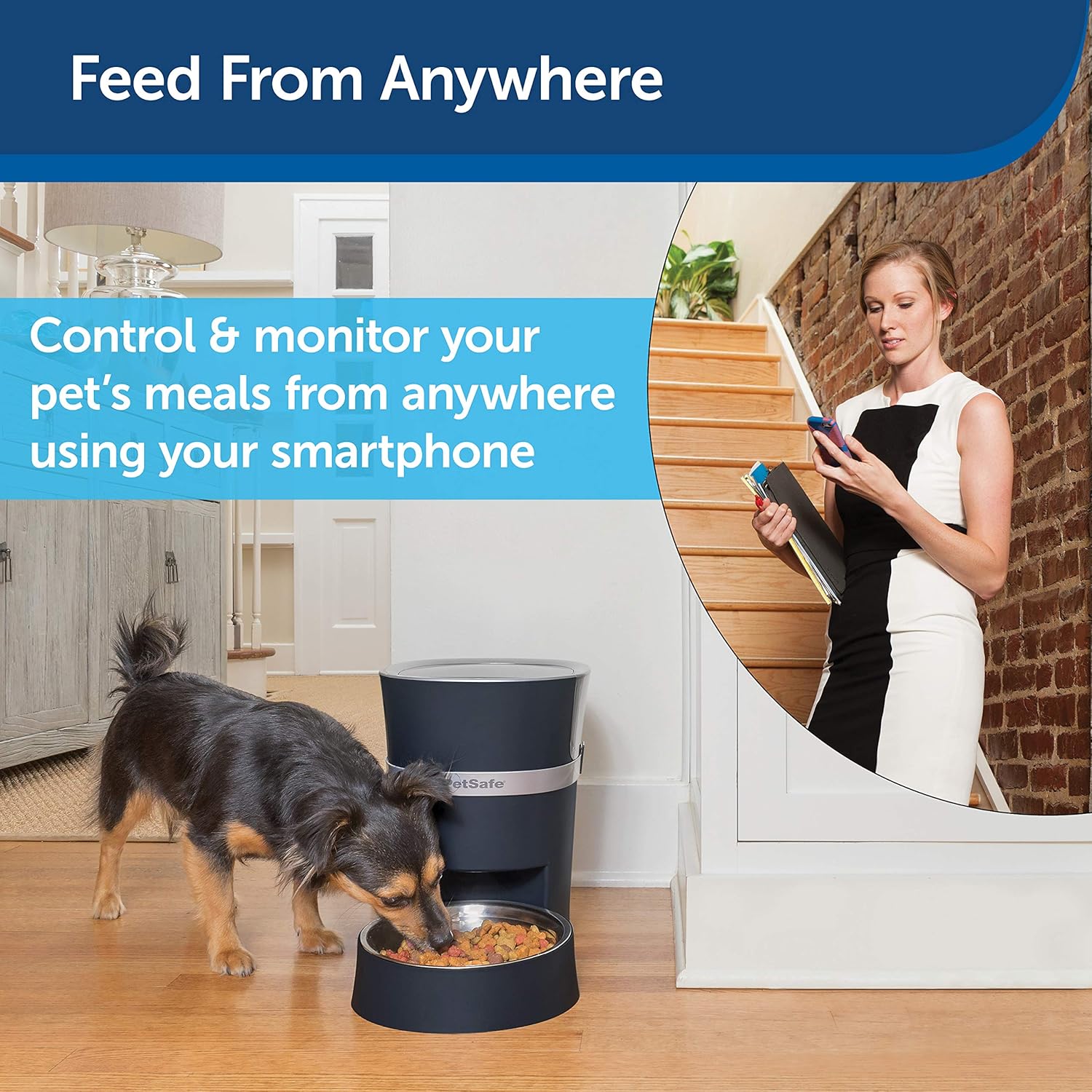 Pet Supplies : PetSafe Smart Feed 2nd Generation Automatic Dog and Cat Feeder, Smartphone, 24-Cups, Wi-Fi Enabled App for iPhone and Android, Works with Alexa : 