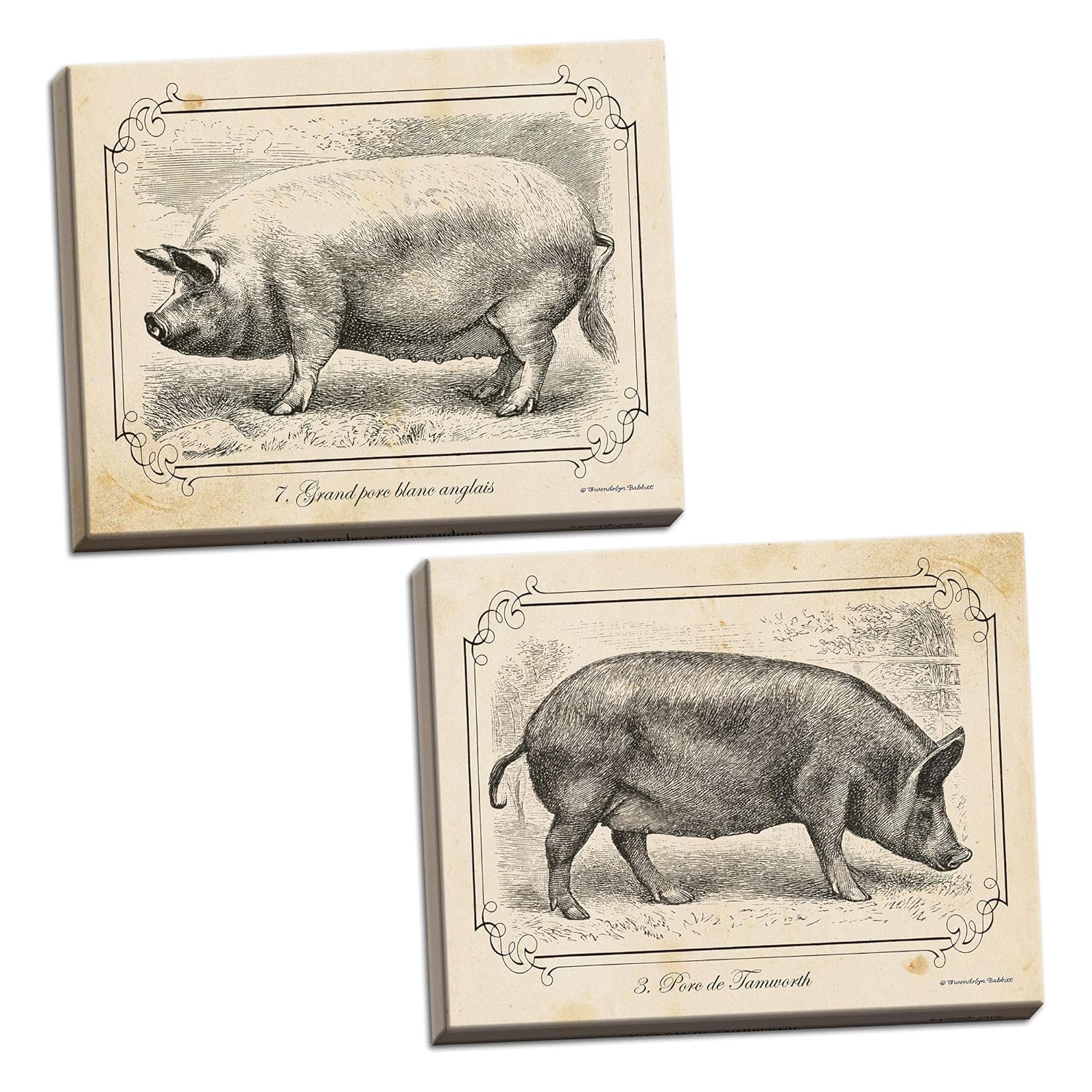 Amazoncom WallsThatSpeak 2 Black And White Pig Drawings Grayscale