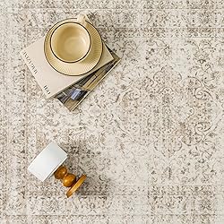 WondRg 4x6 Washable Beige Vintage Area Rug for